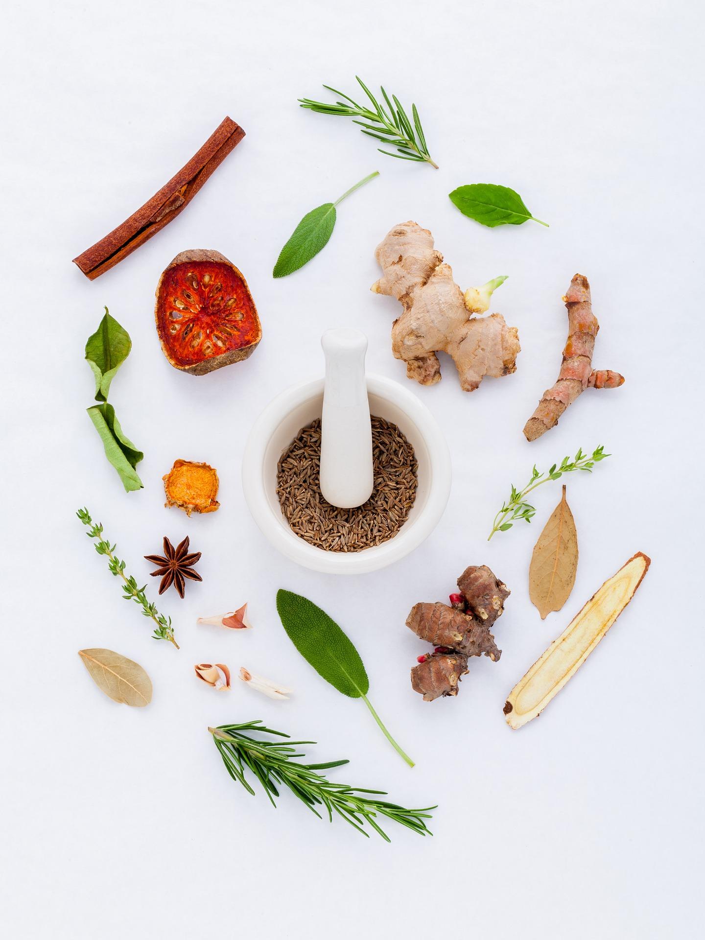Build Your Own Medicinal Herb Container Garden