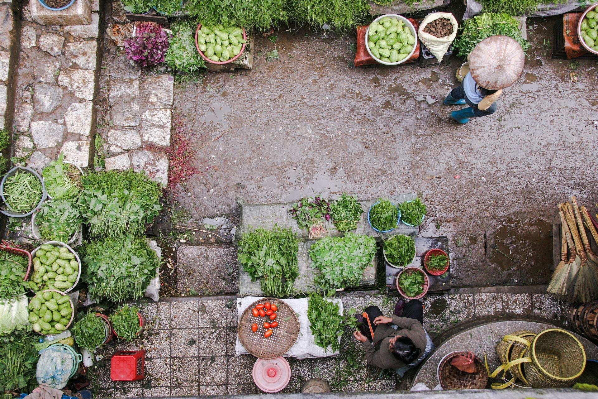 Build Your Own Summer Veggie Container Garden