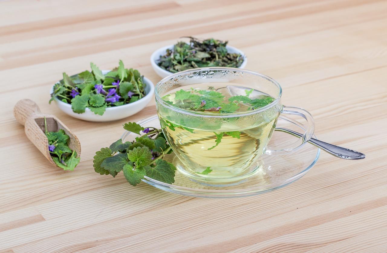Build Your Own Healing Herbs Container Garden Class
