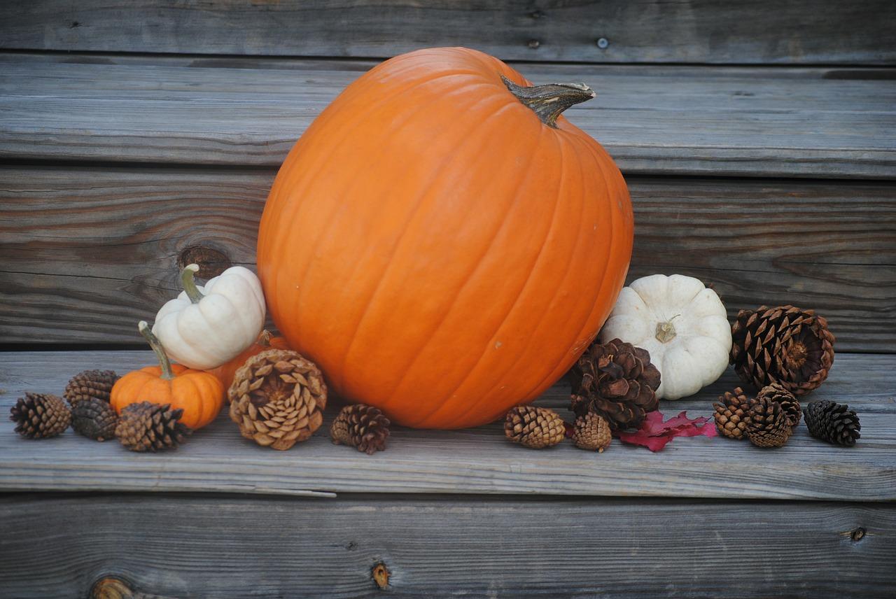Festive Fall Container Garden Class