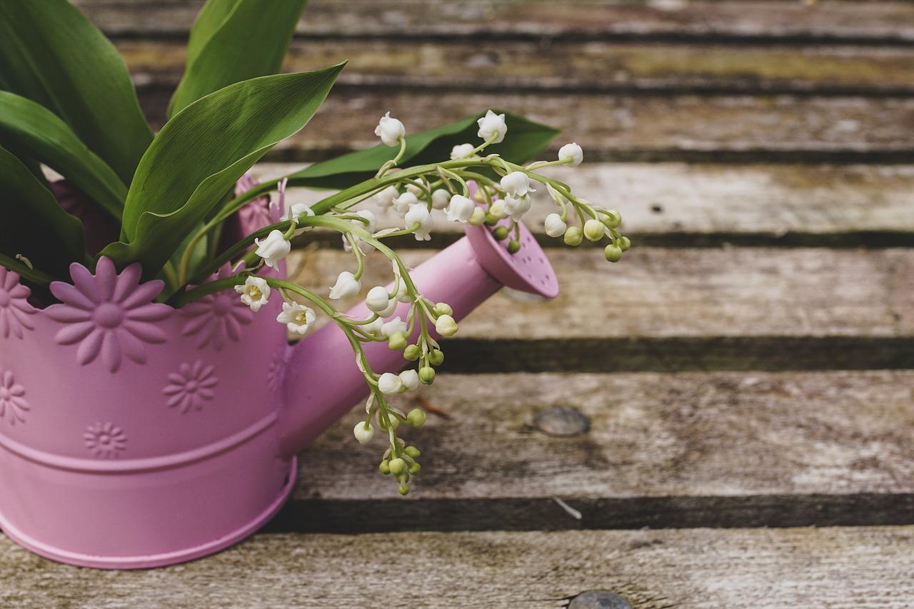 Build Your Own Winter Wonderland Container Garden Class