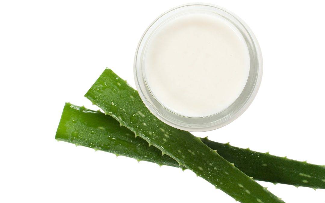 The Many Uses of Aloe Vera