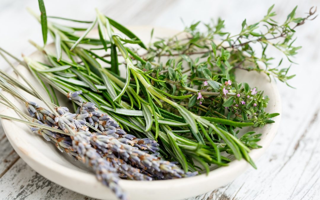 Growing and Drying Herbs