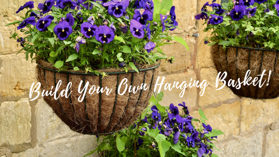 Build Your Own Hanging Basket! Fairy Tale Gardens by Jenna