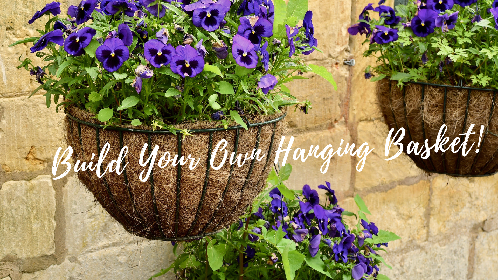 Build Your Own Hanging Basket!