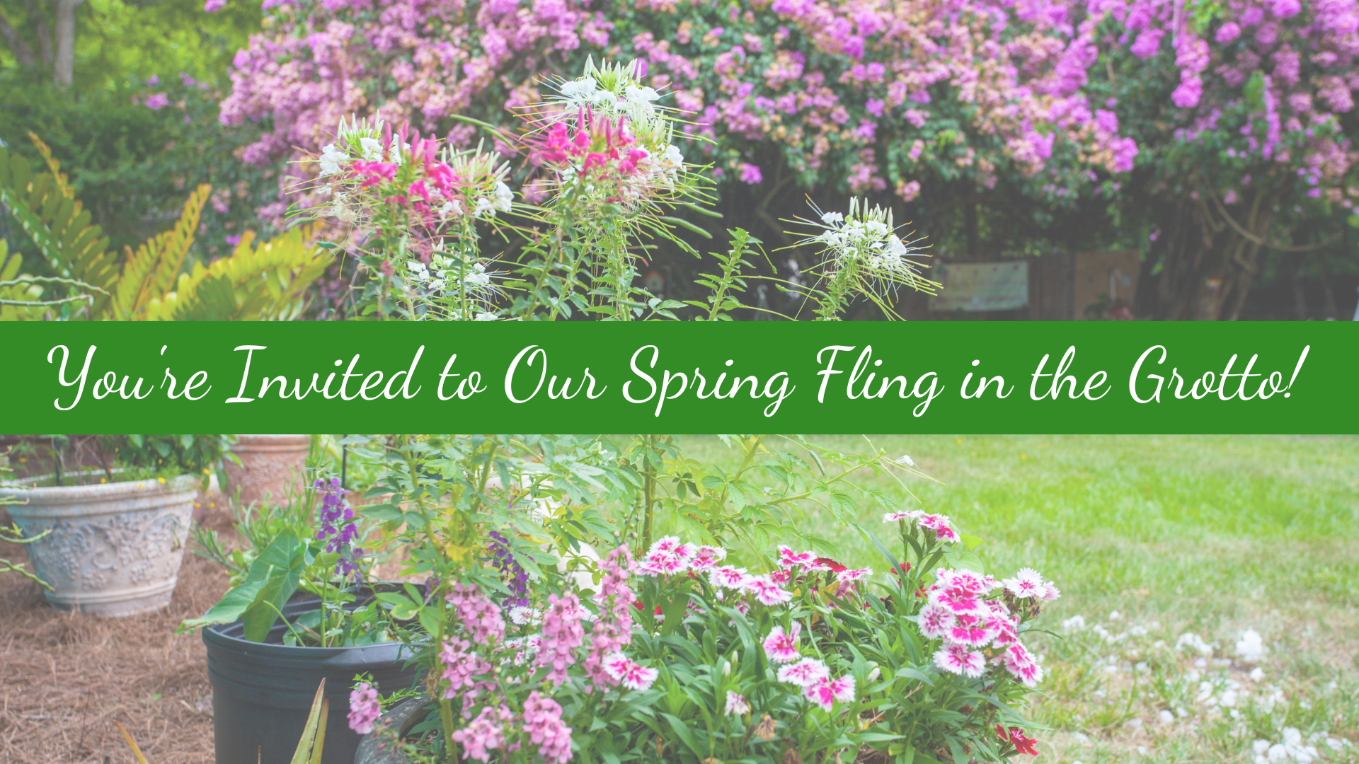 Spring Fling in the Grotto