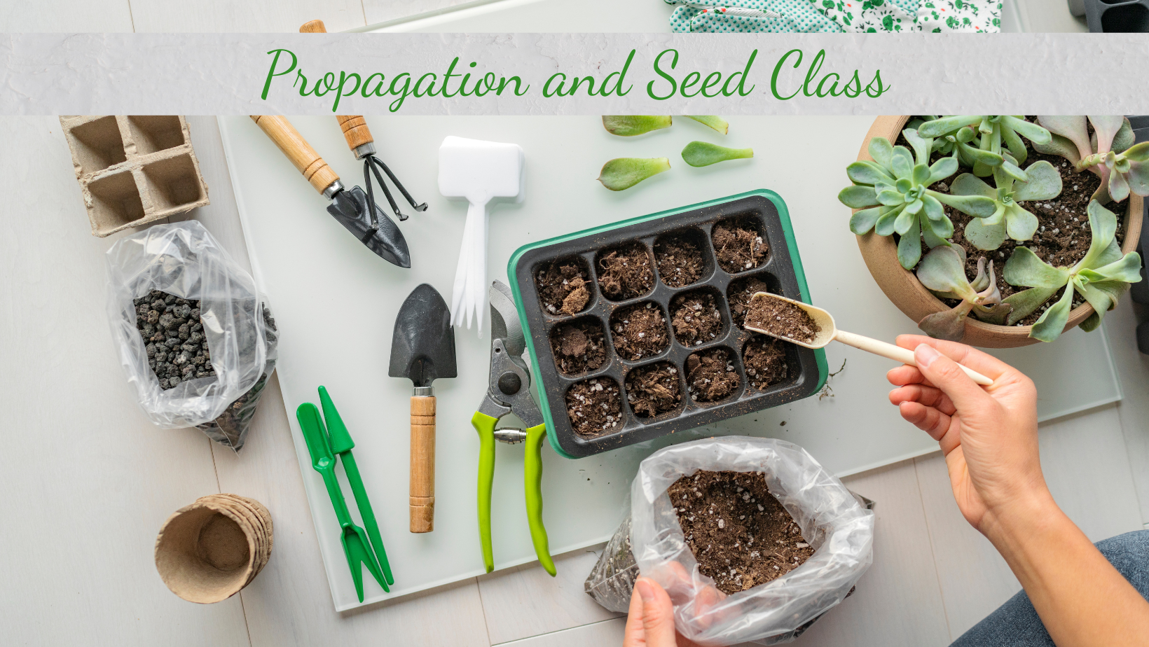 Propagation and Seed Class