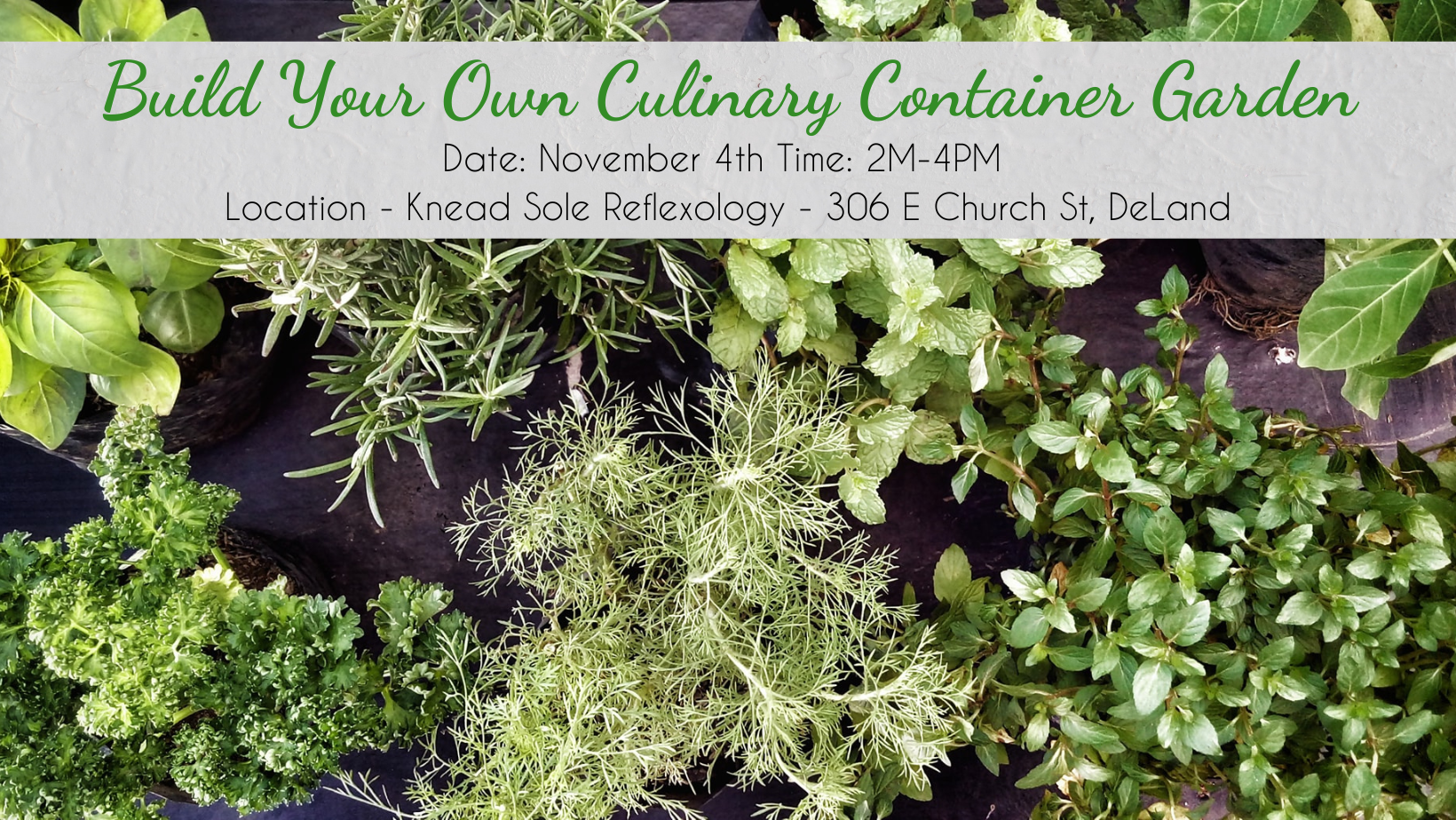 Build Your Own Culinary Container Garden & Make n’ Take Recipe Class