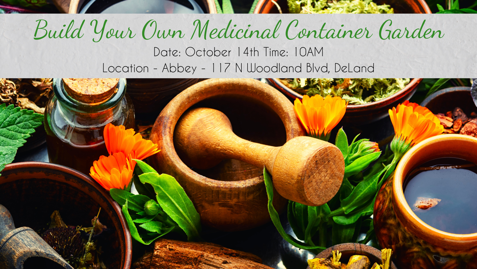 Build Your Own Medicinal Container Garden Using Common Plants