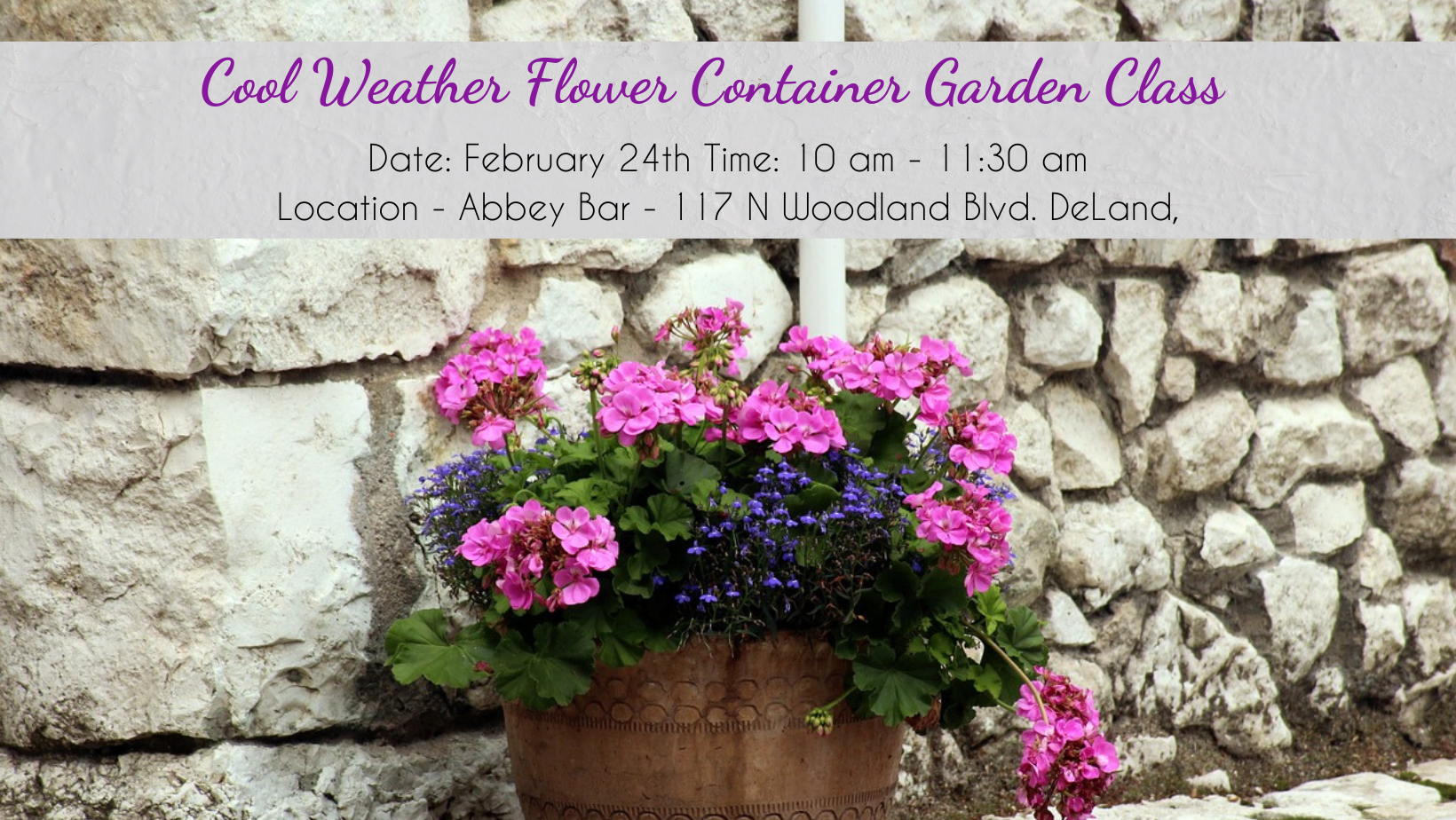 Cool Weather Flower Container Garden Class