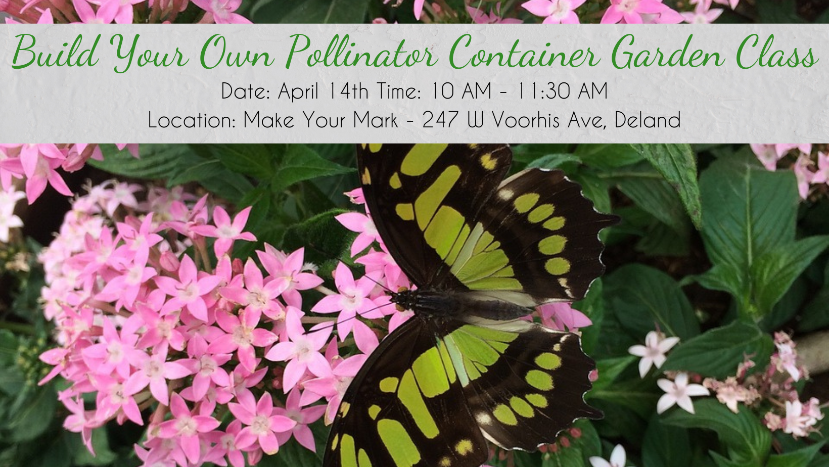 Build Your Own Pollinator Container Garden Class