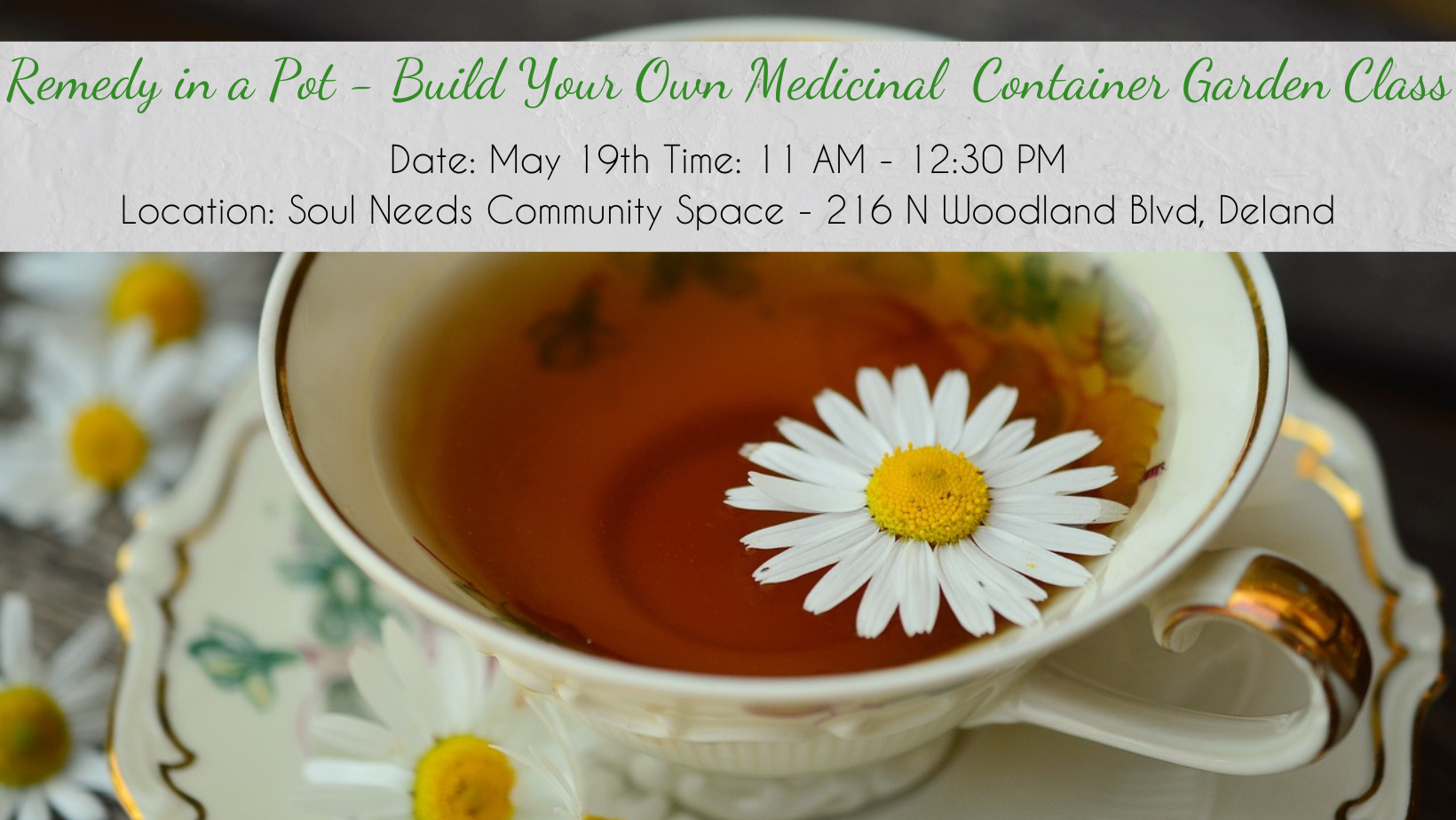 Remedy in a Pot – Build Your Own Medicinal Container Garden Class