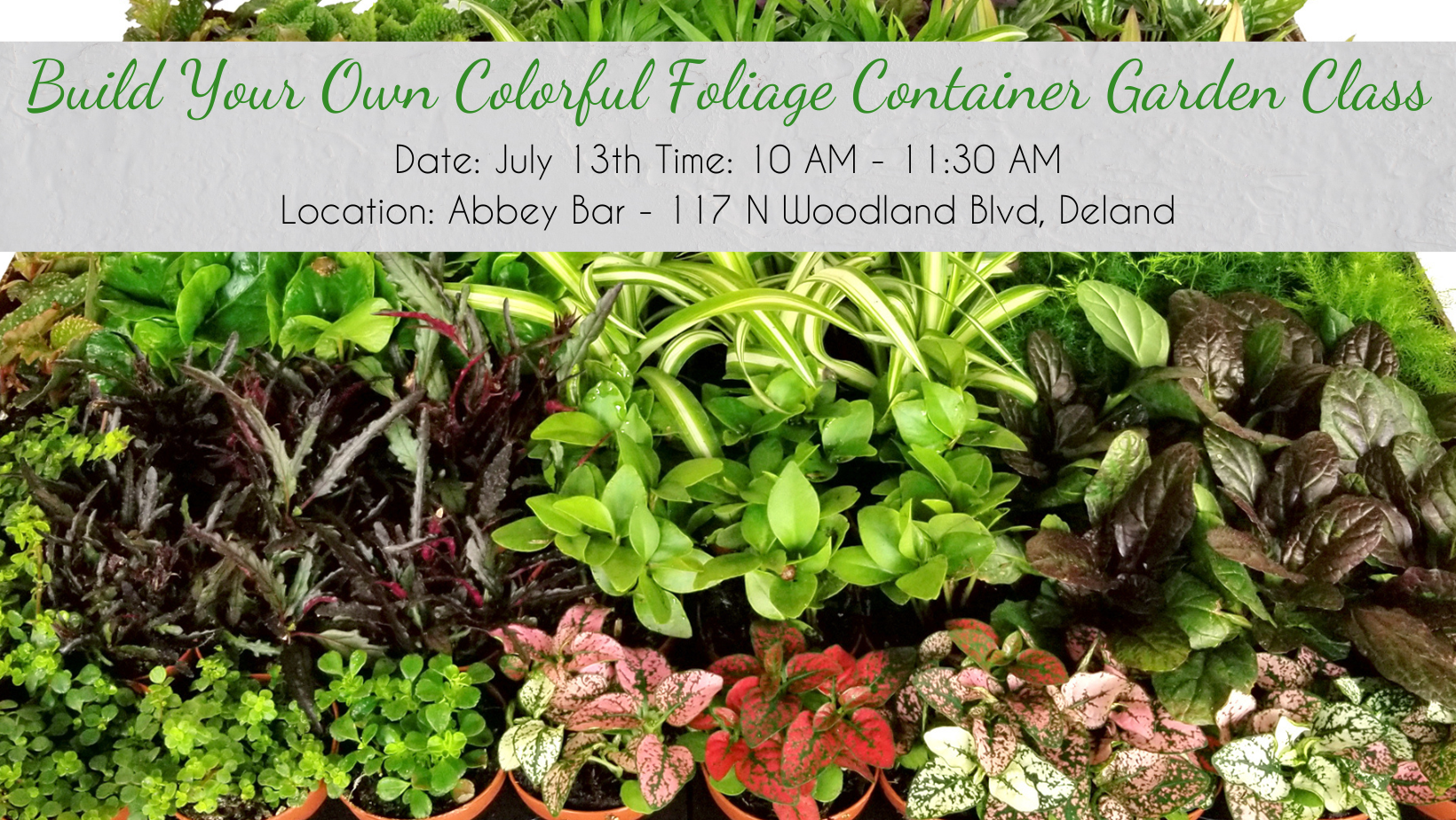 Build Your Own Colorful Foliage Container Garden Class