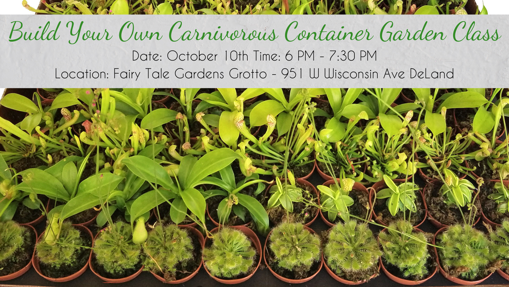 Build Your Own Carnivorous Container Garden Class