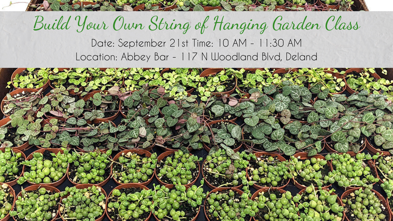 Build Your Own Strings of Hanging Basket Garden Class