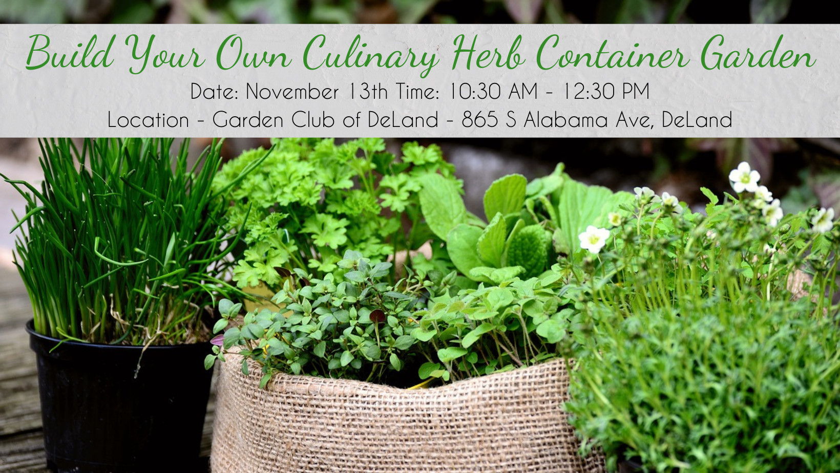 Build Your Own Culinary Herb Container Garden for the Holidays