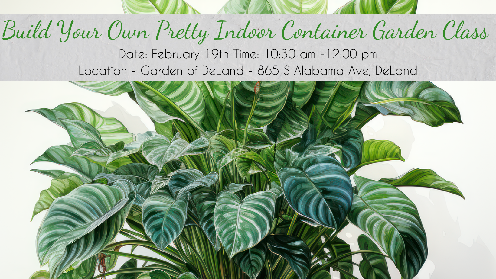 Build Your Own Pretty Indoor Container Garden Class