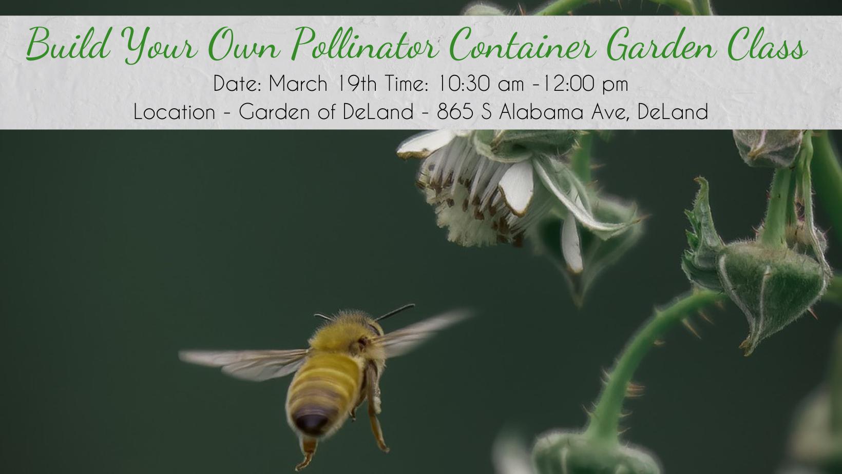 Build Your Own Pollinator Container Garden Class