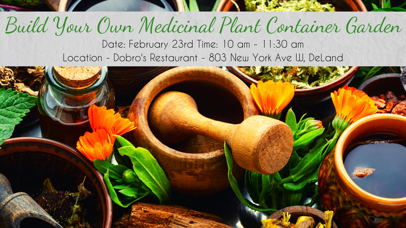 Build Your Own Medicinal Plant Container Garden Class