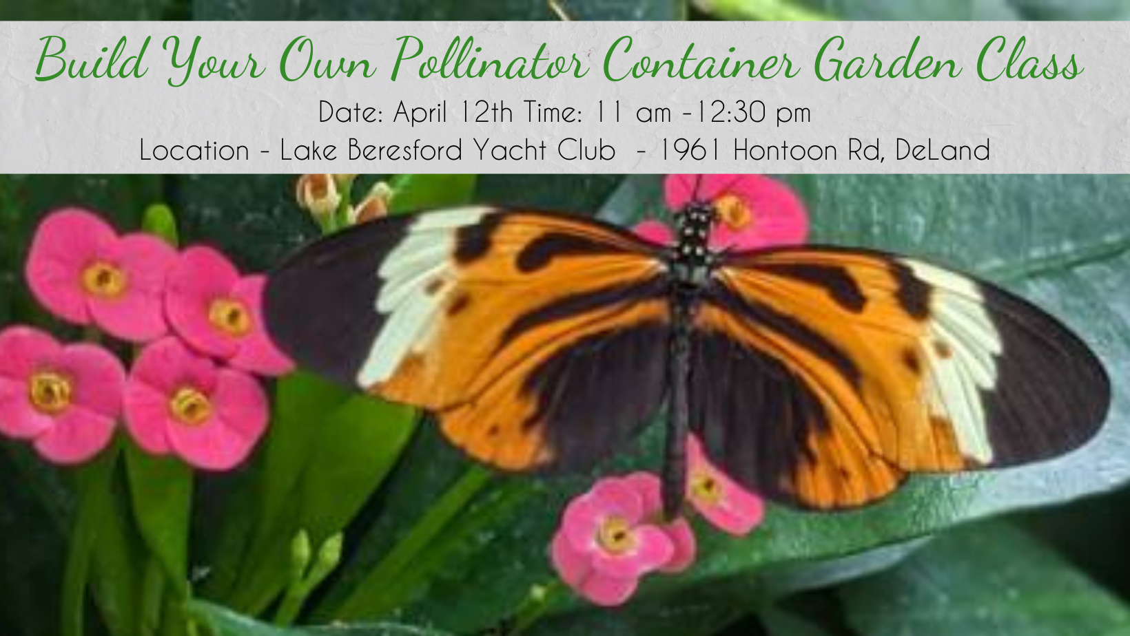 Build Your Own Pollinator Container Garden Class