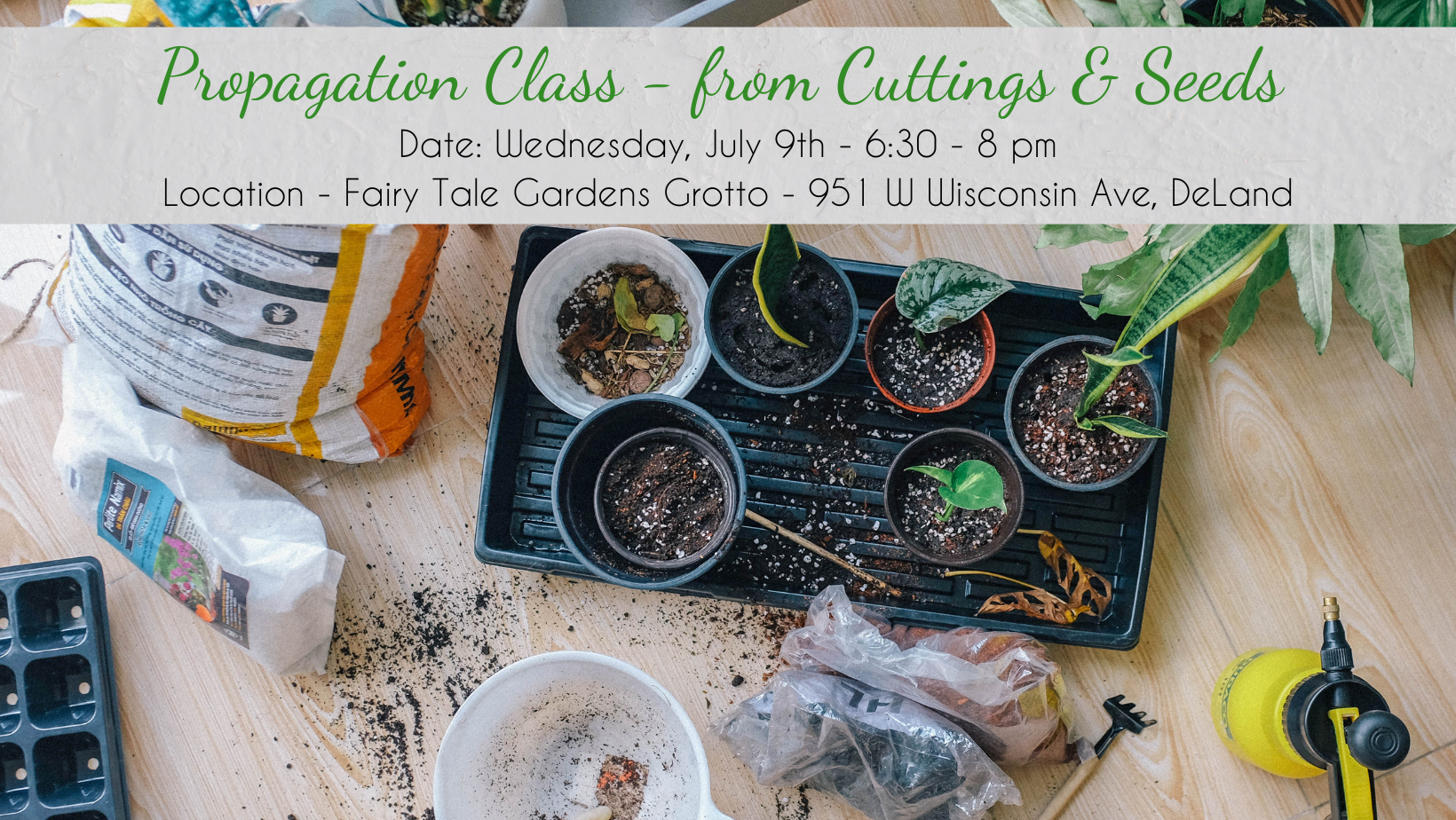 Propagation Class from Cuttings & Seeds