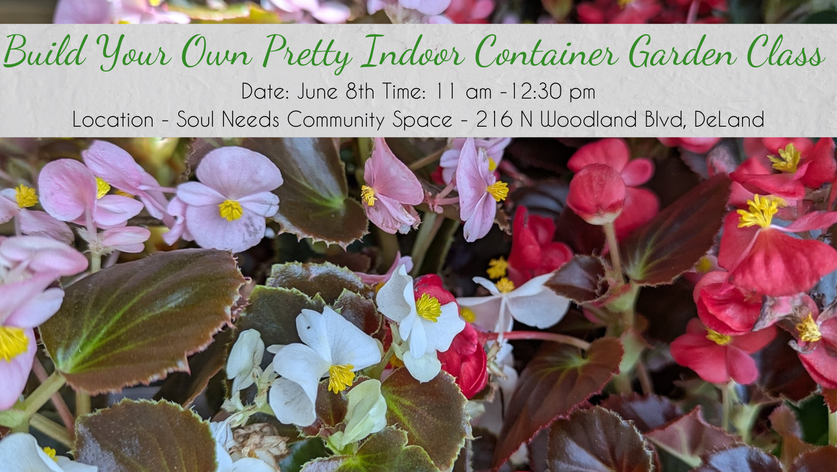 Build Your Own Pretty Indoor Container Garden Class