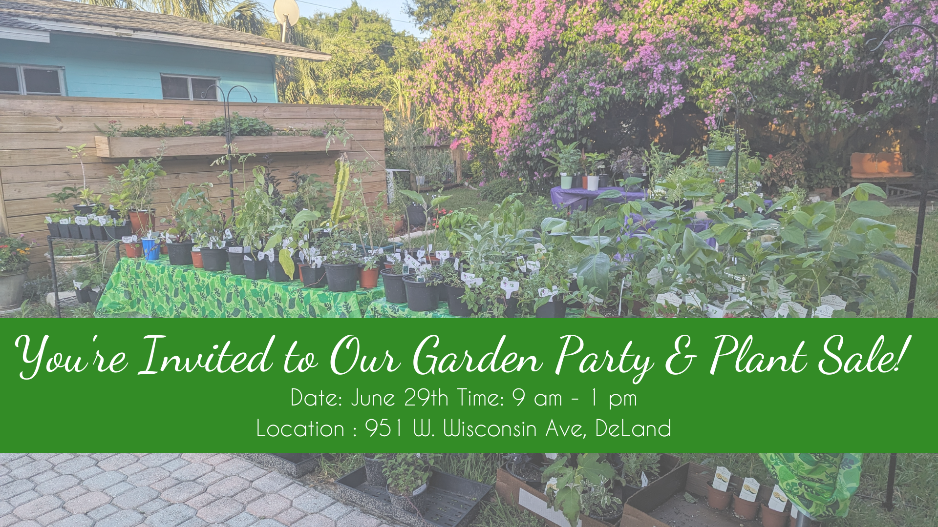 Plant Sale by Fairy Tale Gardens