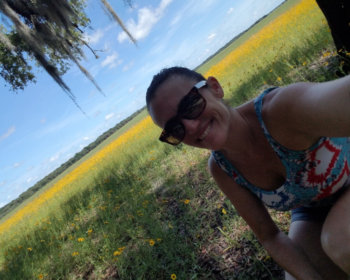 Canopy Walkway at Myakka River State Park