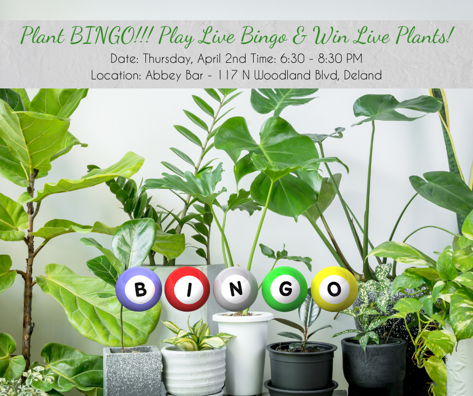 Plant Bingo at Abbey - April 2026 (Facebook Post)