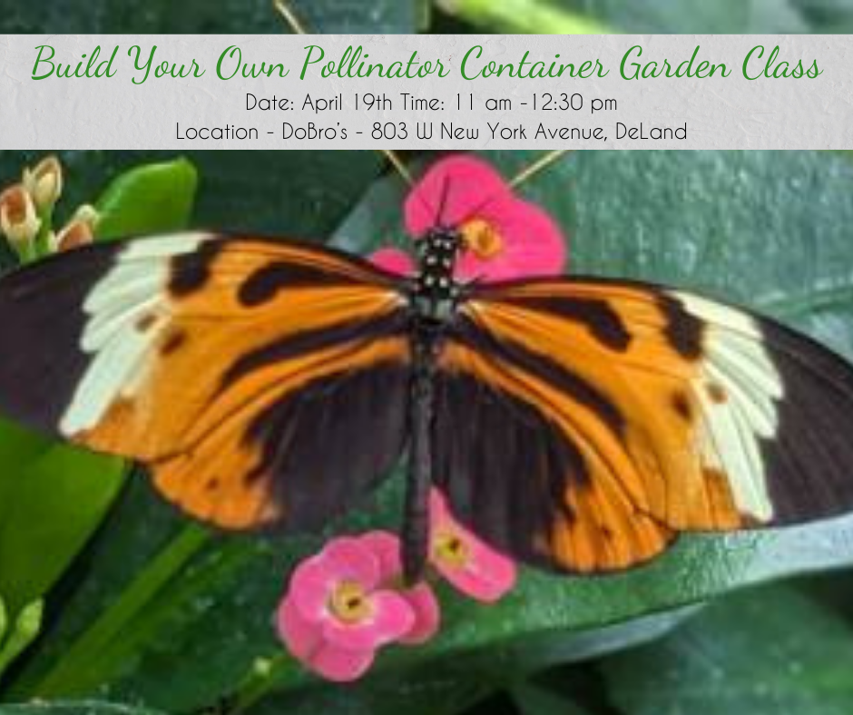 _Pollinator Class - April 26 (Facebook Post)