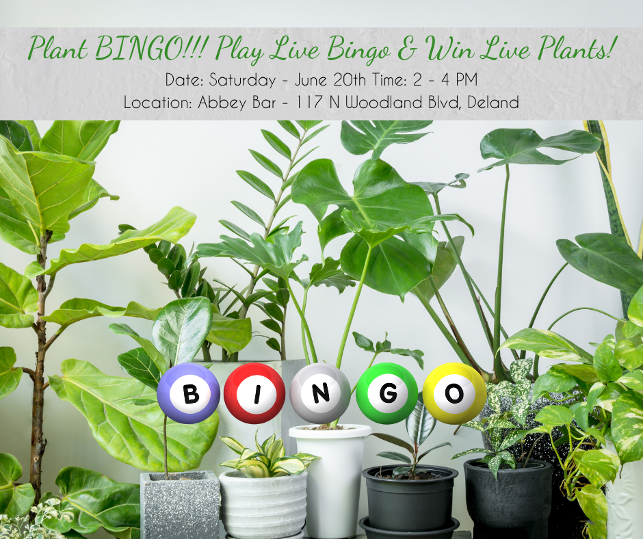 Plant Bingo at Abbey - June 2026 (Facebook Post)