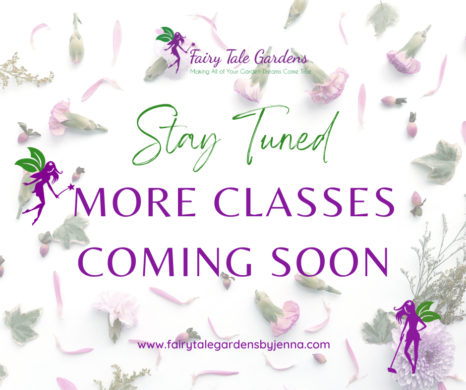 Stay Tuned for More Classes