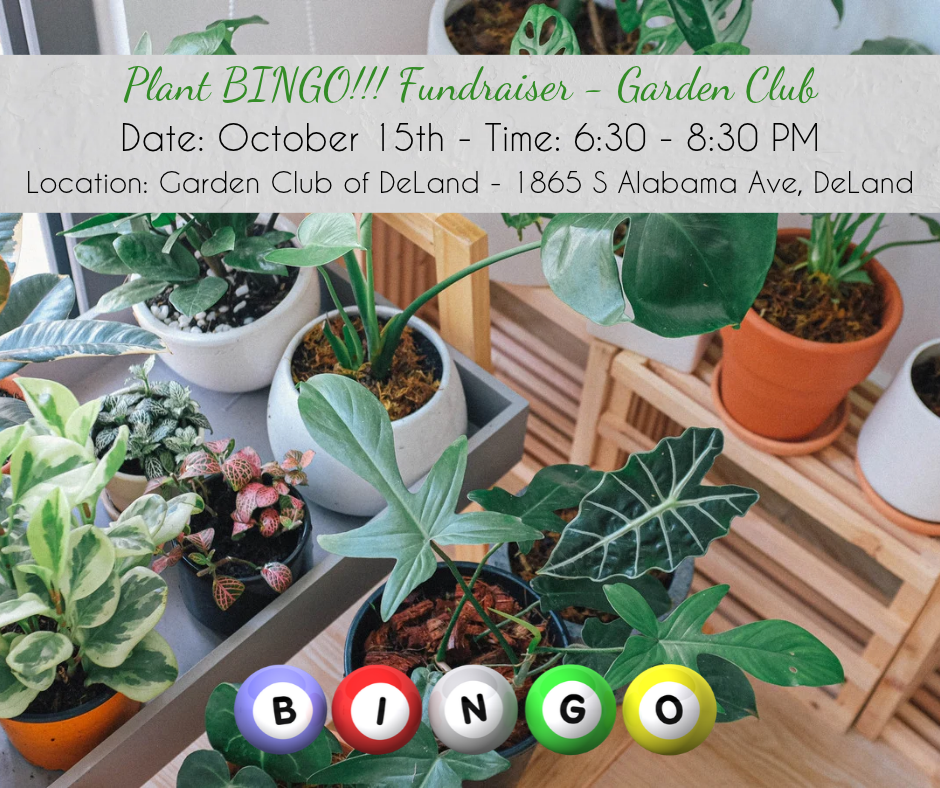 Fundraiser Plant Bingo October 2026 (Facebook Post)